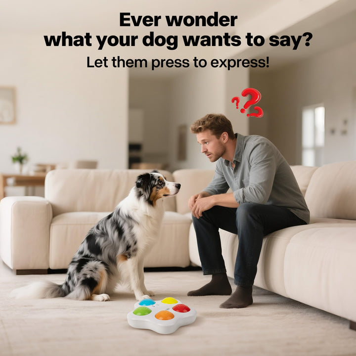 Interactive -Dog Toy - Pet Brain Training buttons