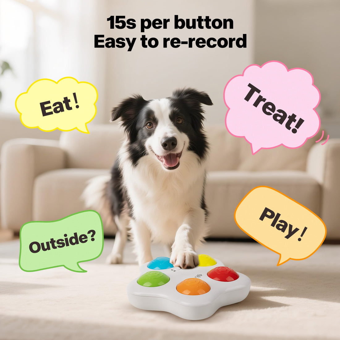 Interactive -Dog Toy - Pet Brain Training buttons