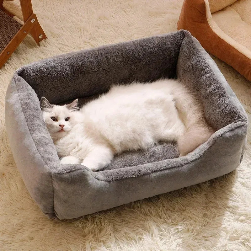 Pet Beds & Accessories – Cushions, Houses & Supplies for Cats & Dogs