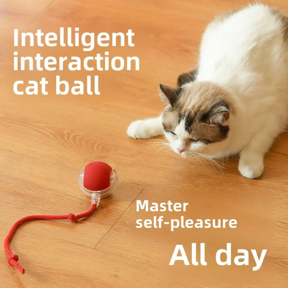 Rechargeable Smart Automatic Rolling Ball Toy for Cats and Dogs