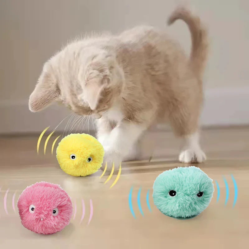 Bite-Resistant Flying Disc Dog Toy & Interactive Catnip Ball Toy