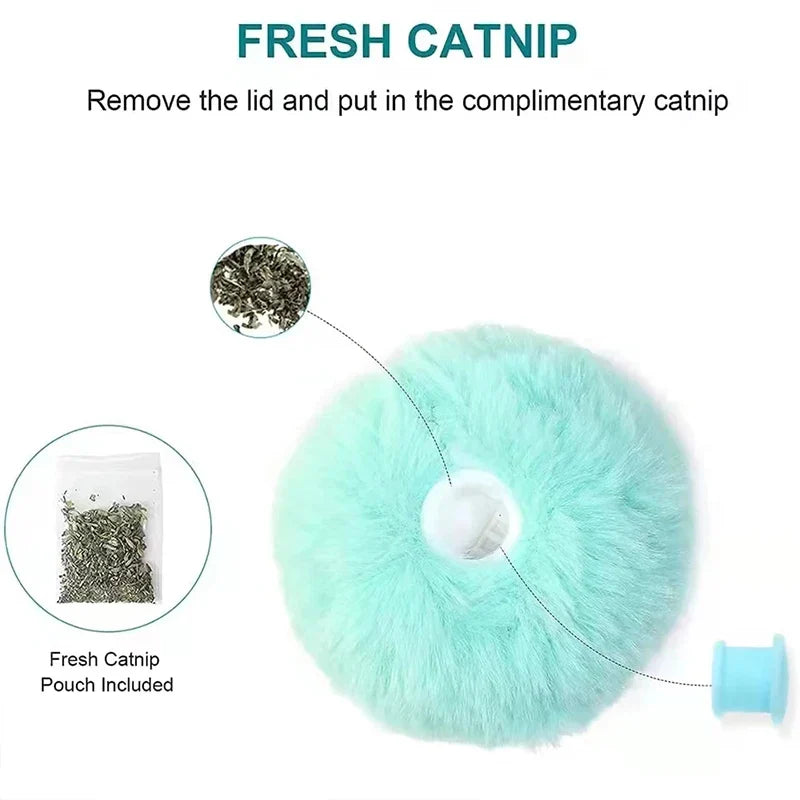 Bite-Resistant Flying Disc Dog Toy & Interactive Catnip Ball Toy