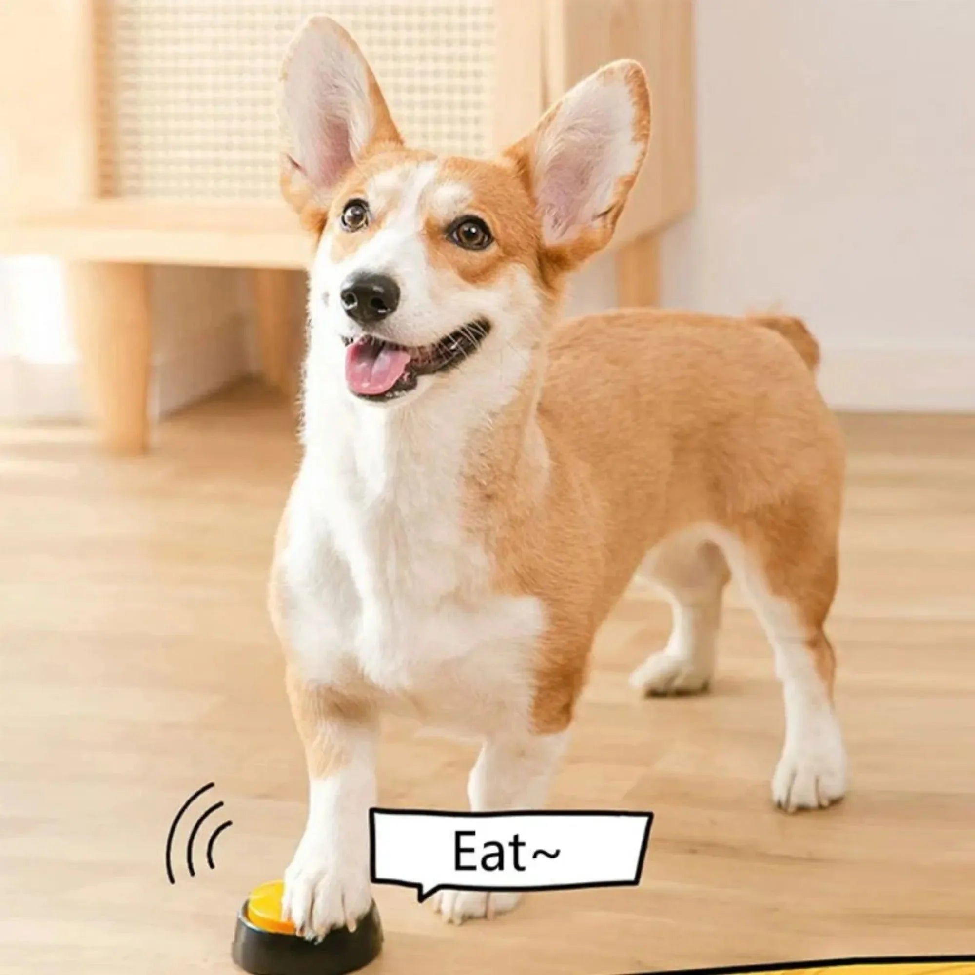 Dog Communication Buttons with Voice Recording for Pet Training