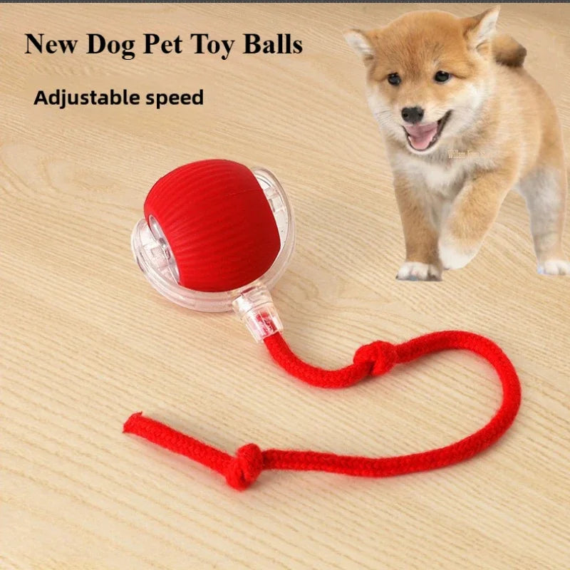 Rechargeable Smart Automatic Rolling Ball Toy for Cats and Dogs
