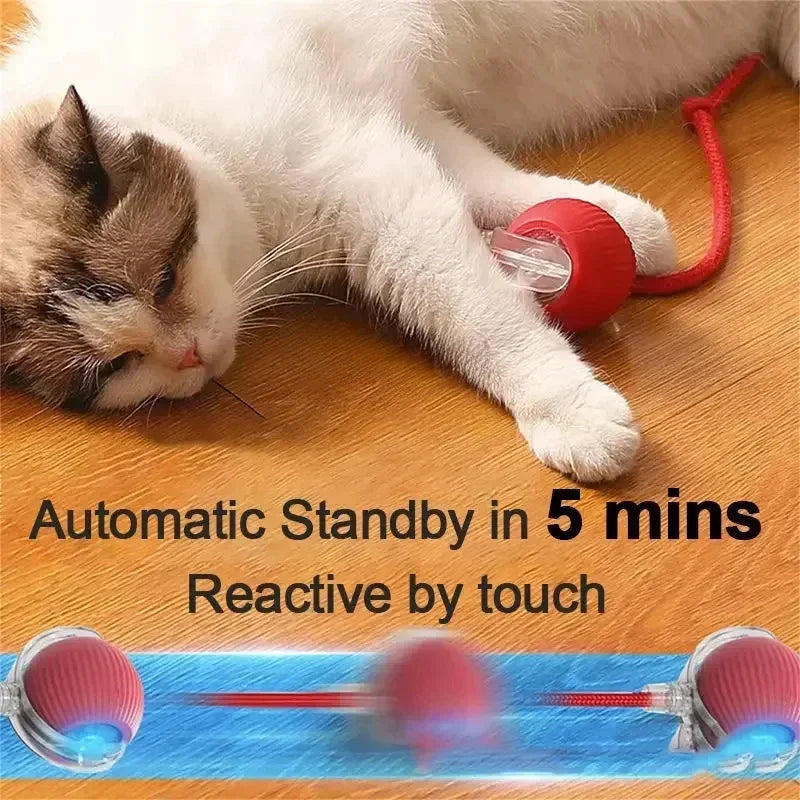 Rechargeable Smart Automatic Rolling Ball Toy for Cats and Dogs