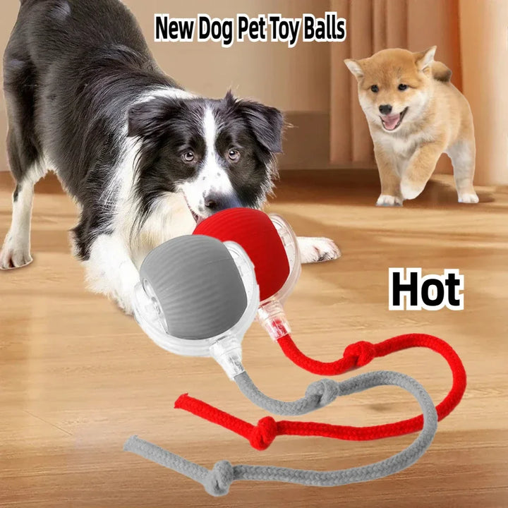 Rechargeable Smart Automatic Rolling Ball Toy for Cats and Dogs