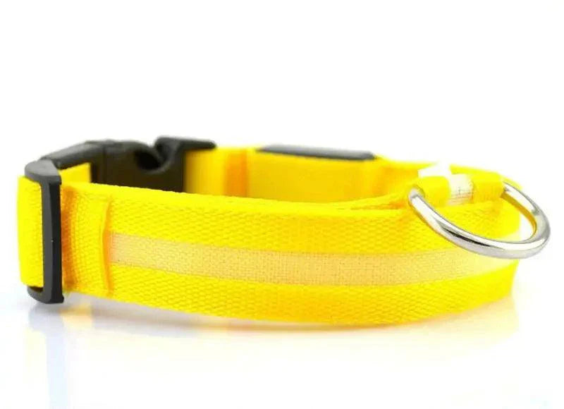 Glowing Night Safety Pet Collar