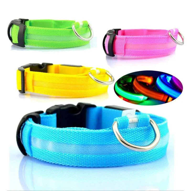 Glowing Night Safety Pet Collar