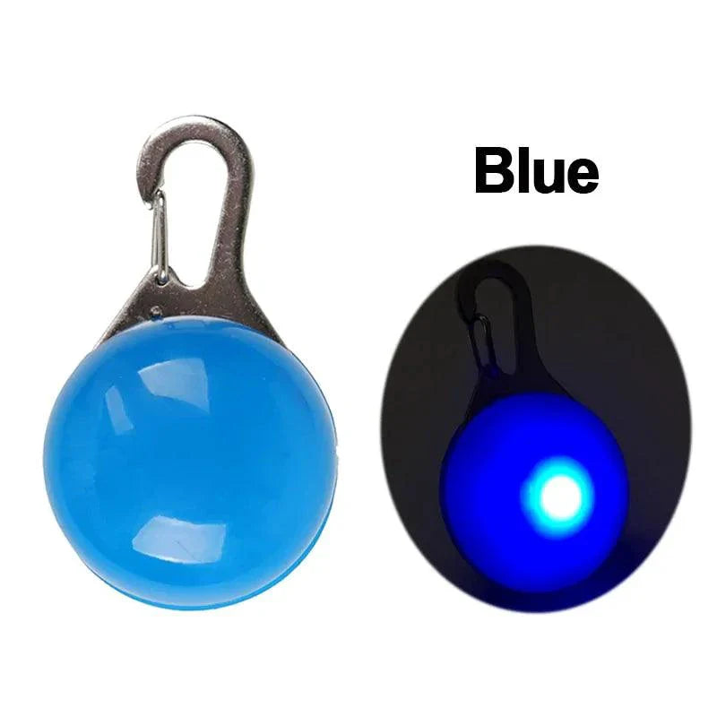 Glowing Night Safety Pet Collar