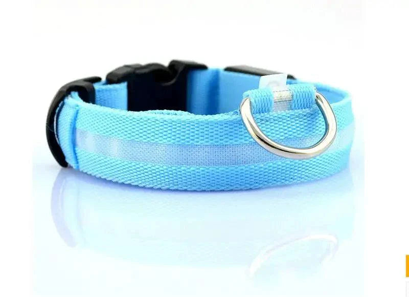 Glowing Night Safety Pet Collar