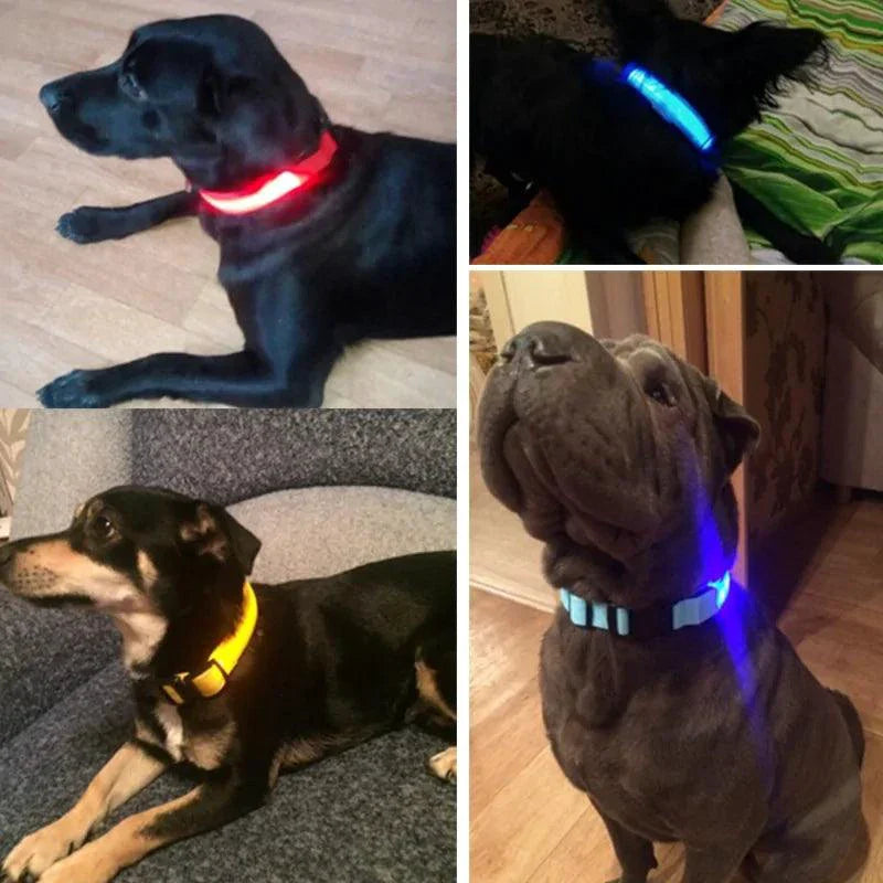 Glowing Night Safety Pet Collar