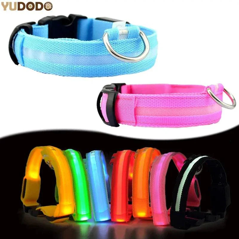 Glowing Night Safety Pet Collar