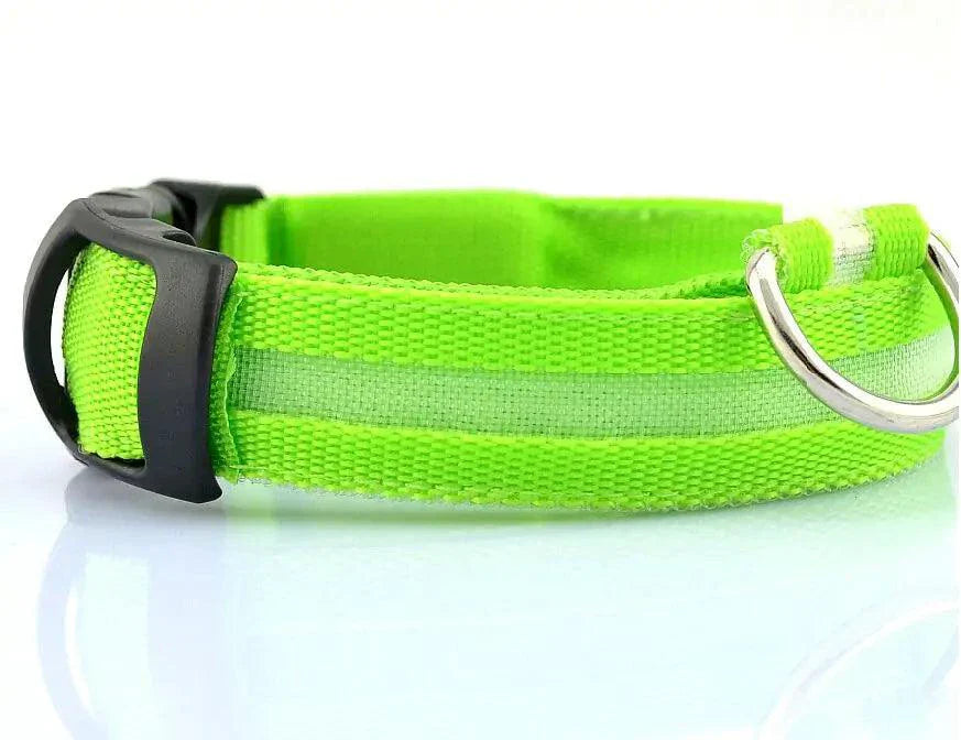 Glowing Night Safety Pet Collar