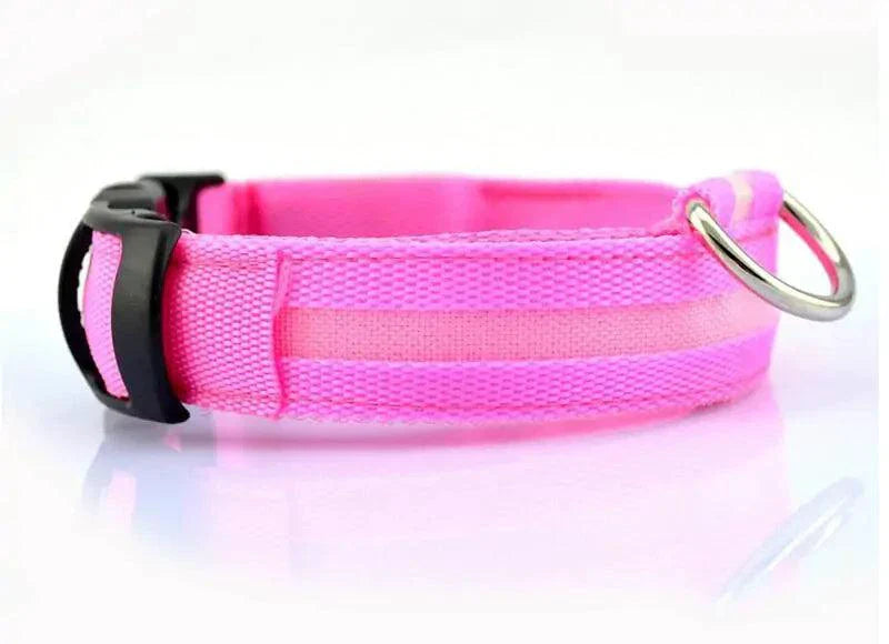 Glowing Night Safety Pet Collar