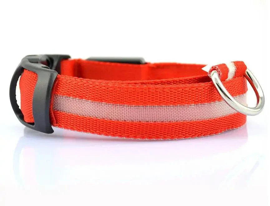 Glowing Night Safety Pet Collar