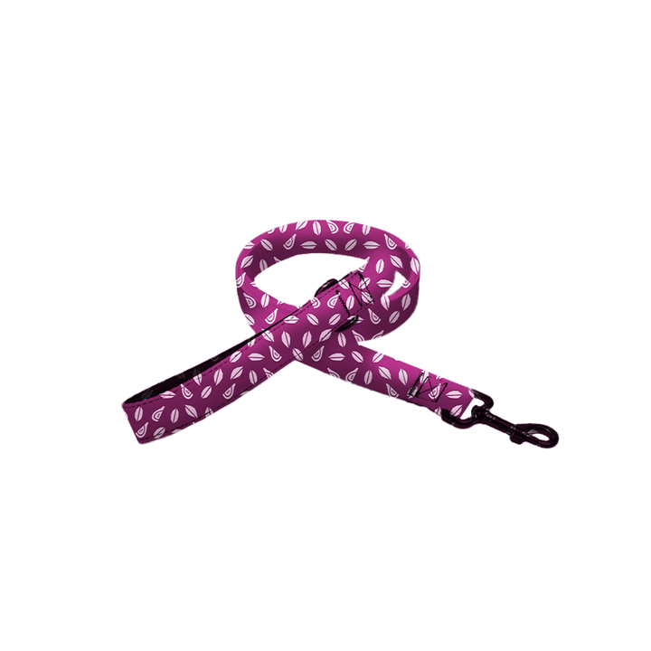 Patterned Pet Leash