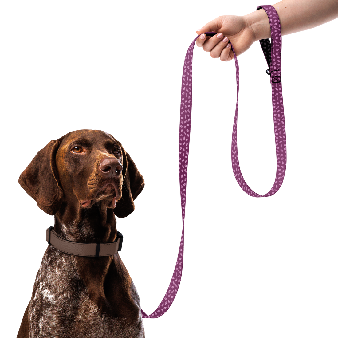 Patterned Pet Leash