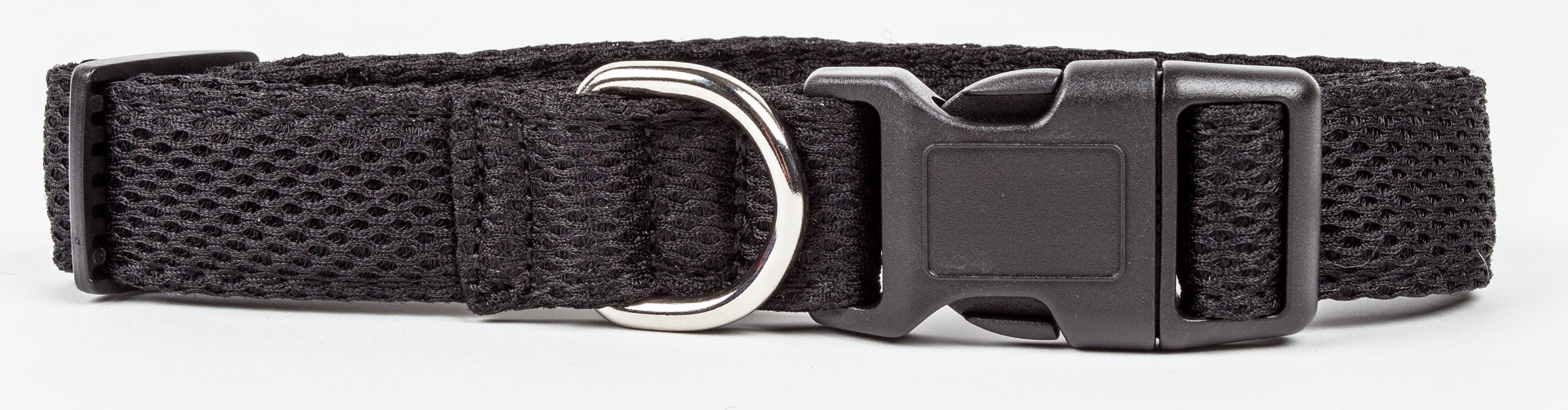 Pet Collars