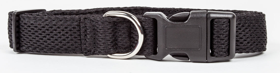 Pet Collars