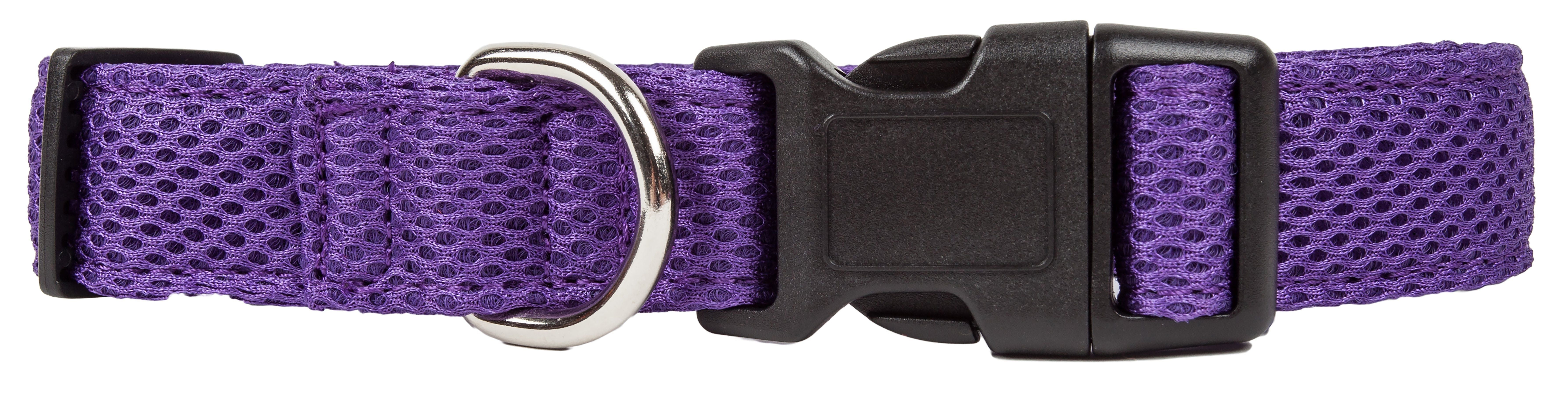 Pet Collars