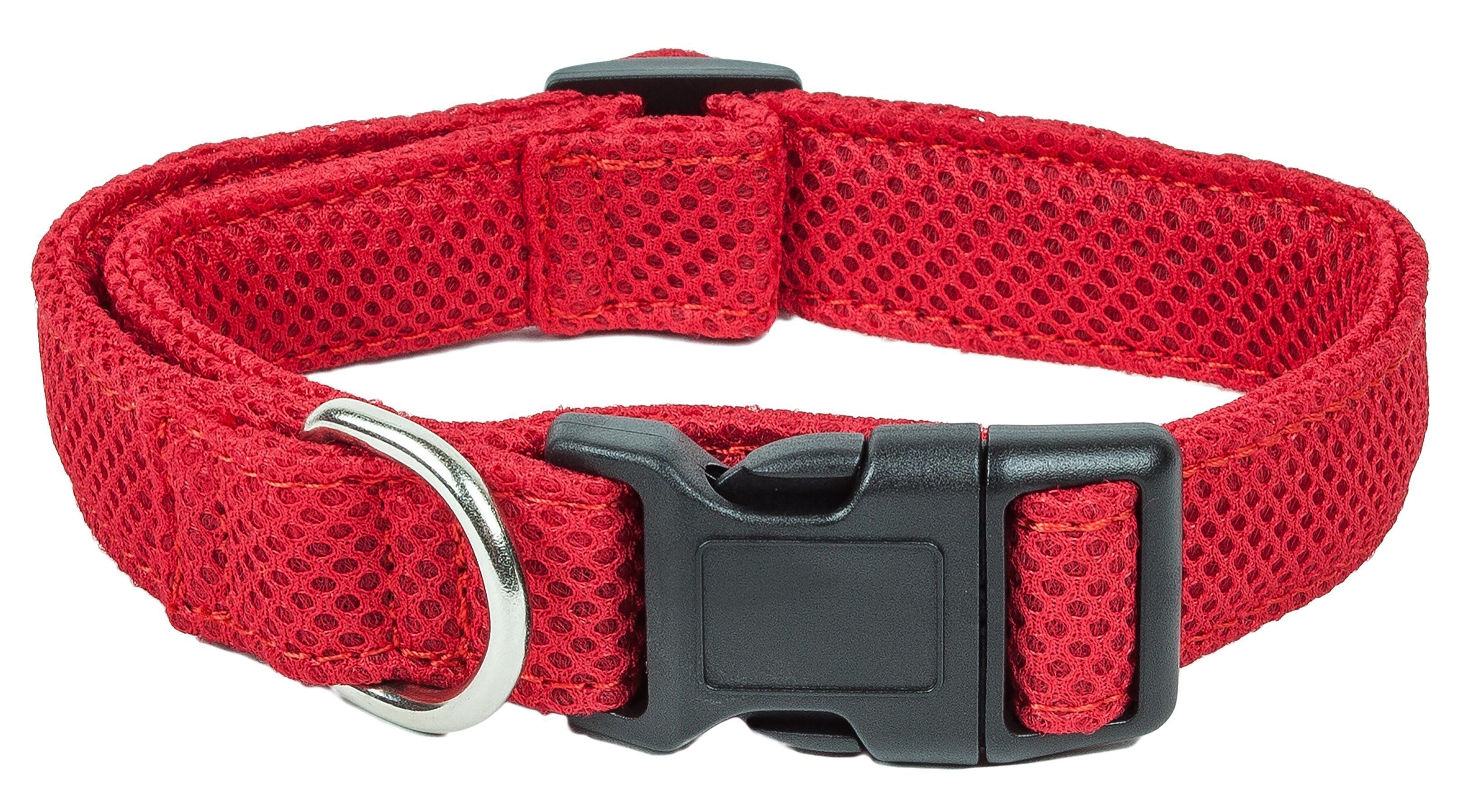 Pet Collars