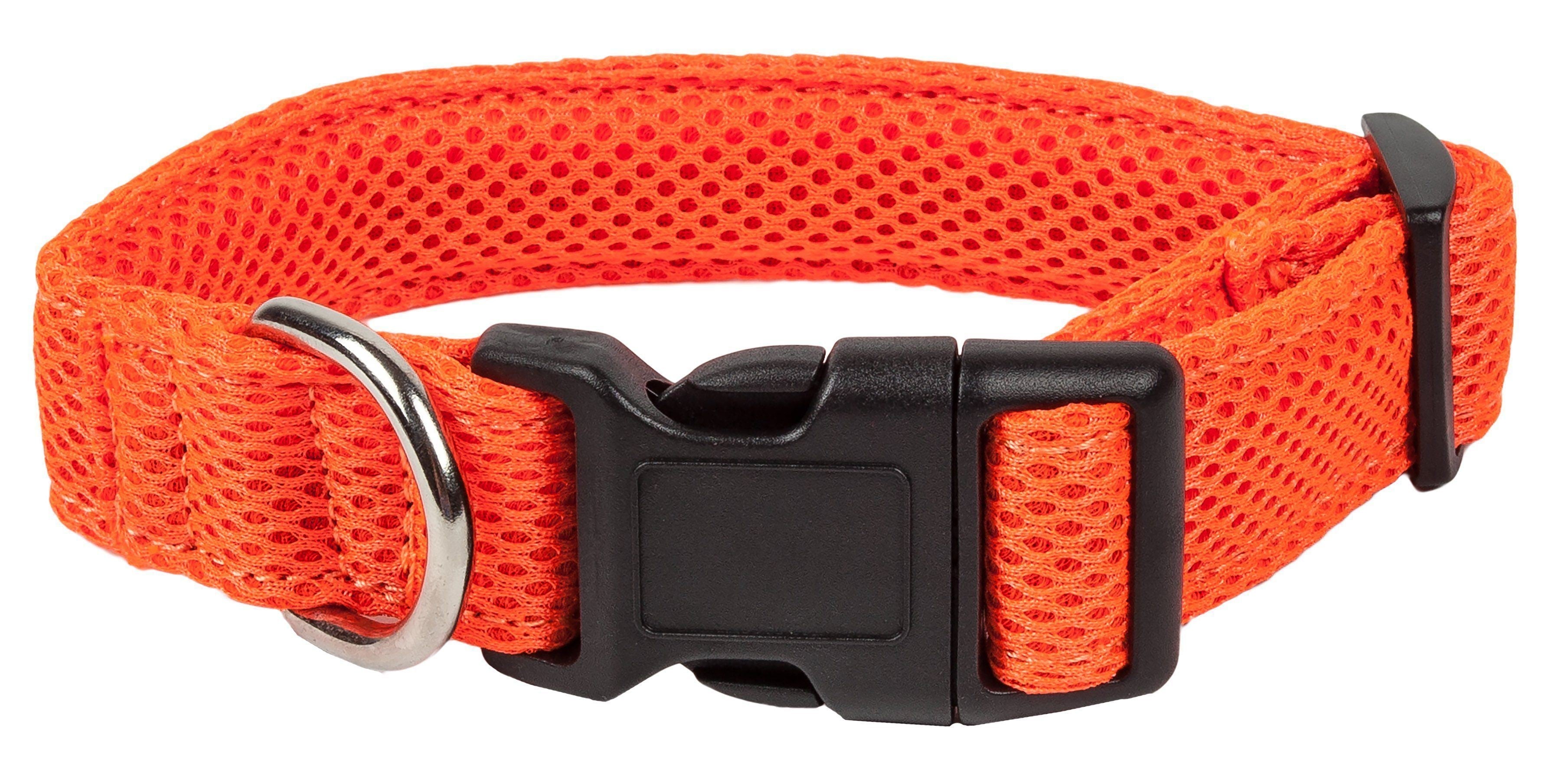 Pet Collars