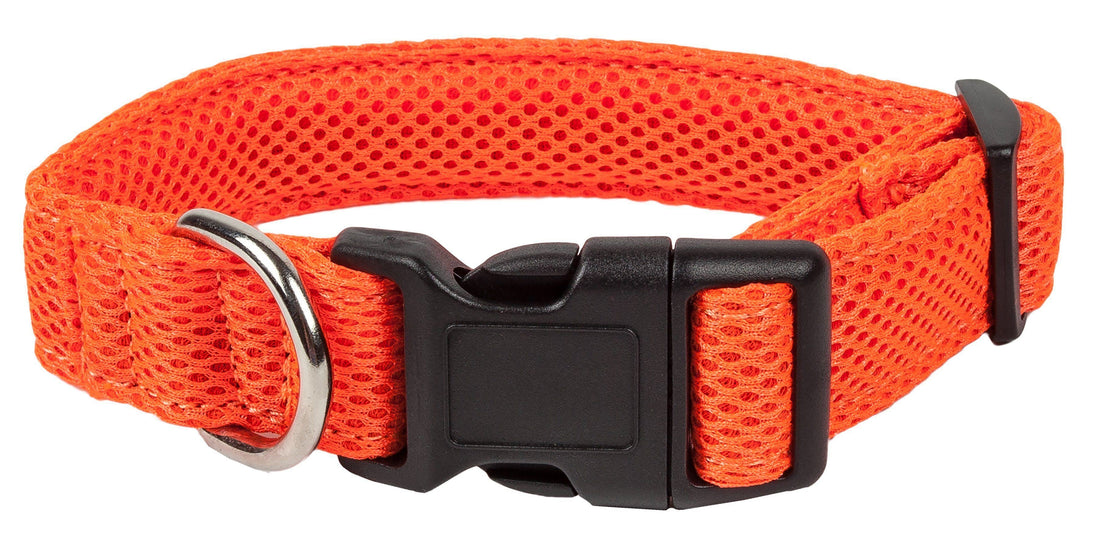 Pet Collars