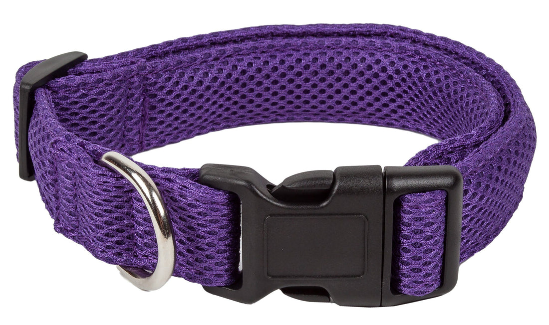 Pet Collars