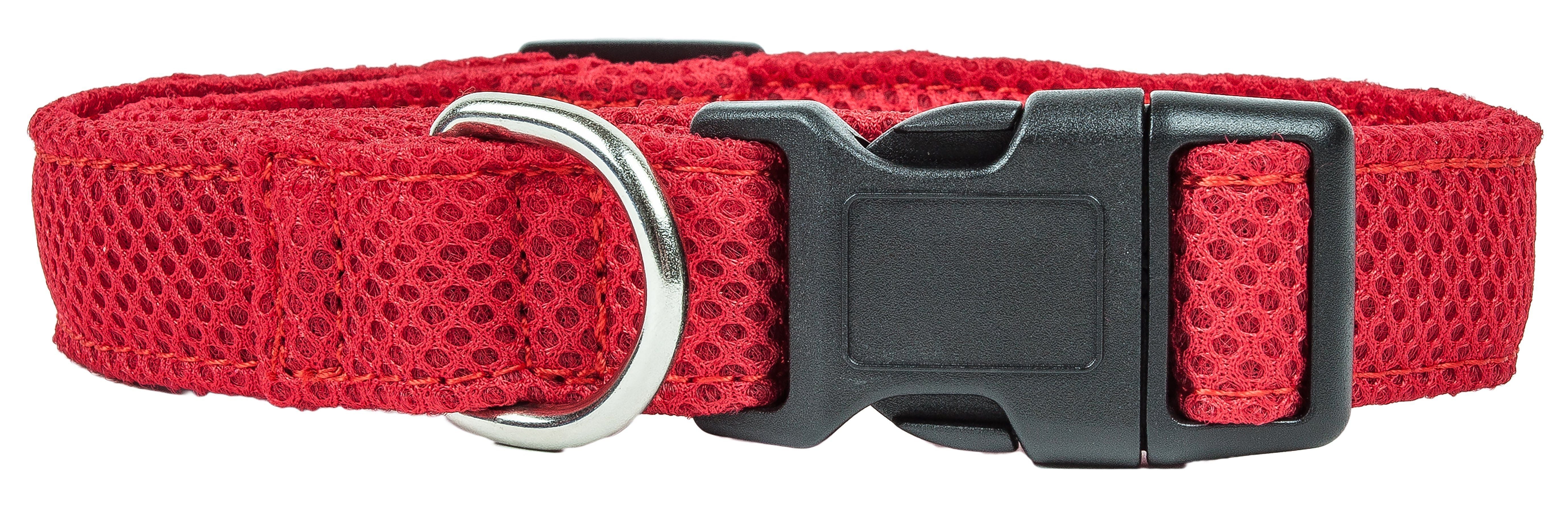 Pet Collars