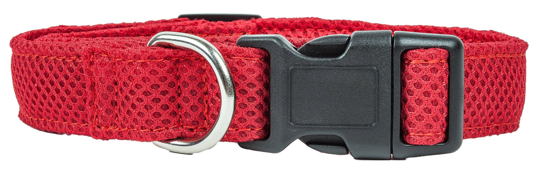 Pet Collars