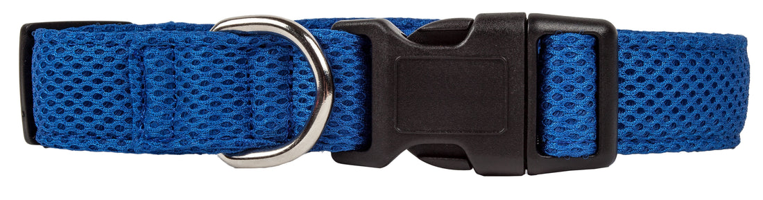 Pet Collars