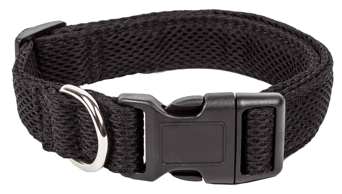 Pet Collars