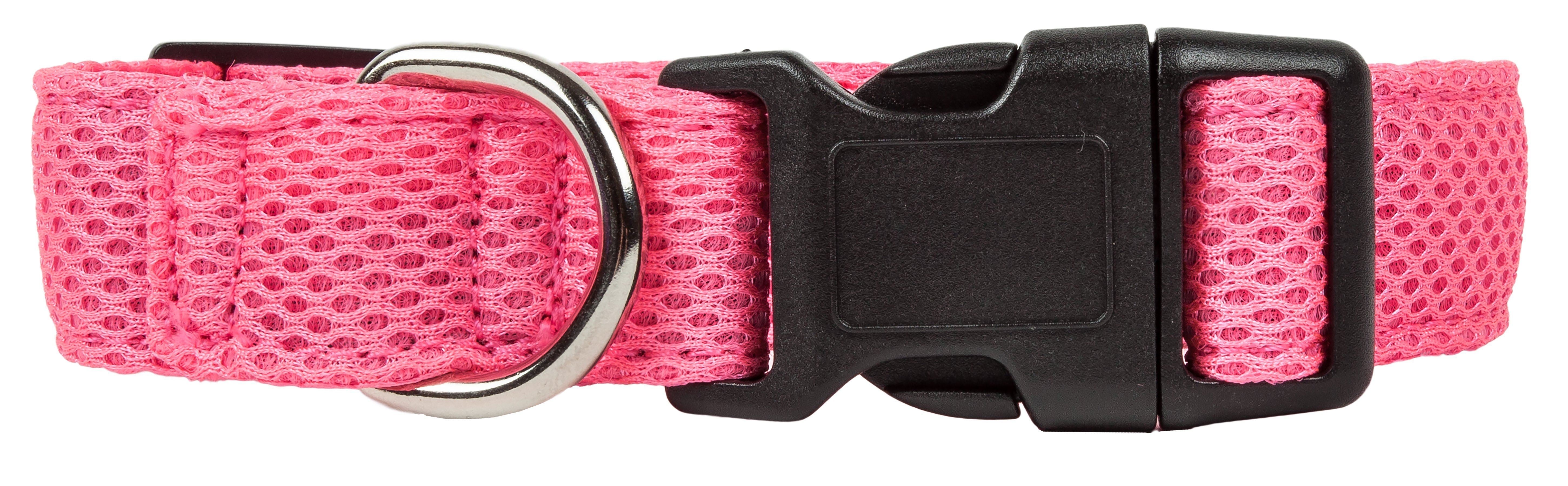 Pet Collars