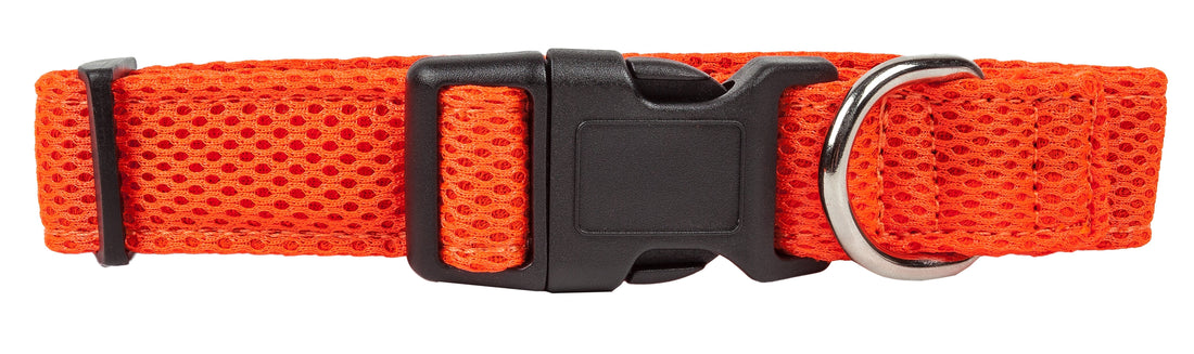 Pet Collars