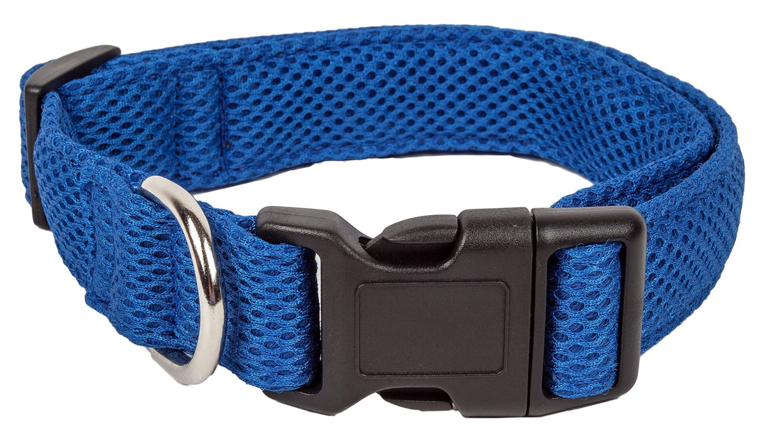Pet Collars