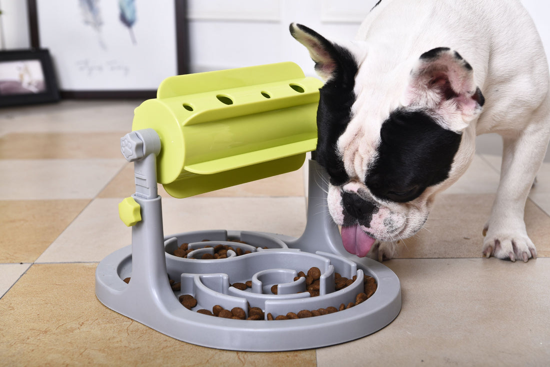 'Roto Paw' IQ Training Interactive Rotating Slow Dog Feeder