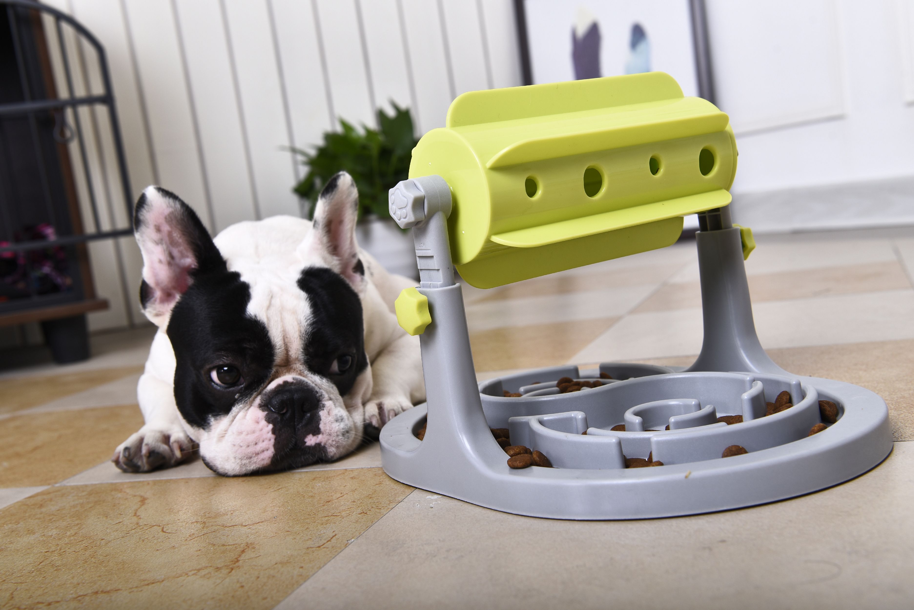 'Roto Paw' IQ Training Interactive Rotating Slow Dog Feeder