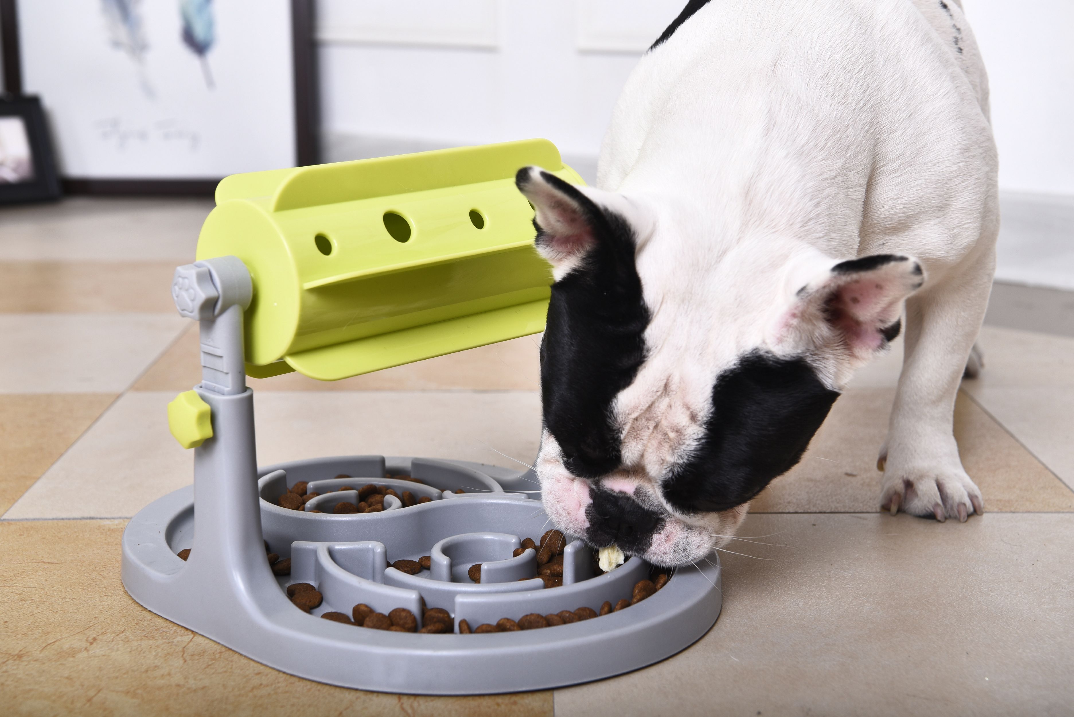 'Roto Paw' IQ Training Interactive Rotating Slow Dog Feeder
