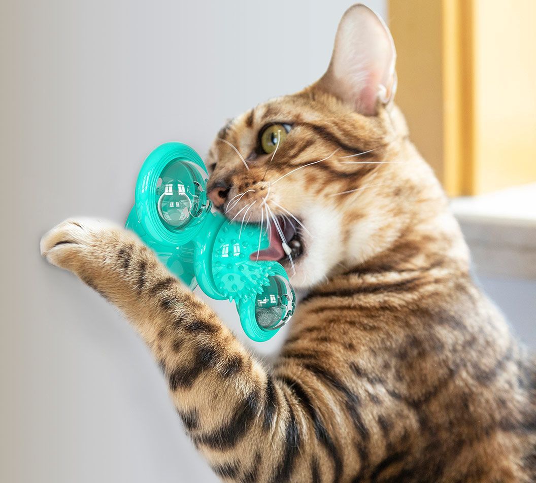 “Windmill” Rotating Suction Cup Spinning Toy for Cats
