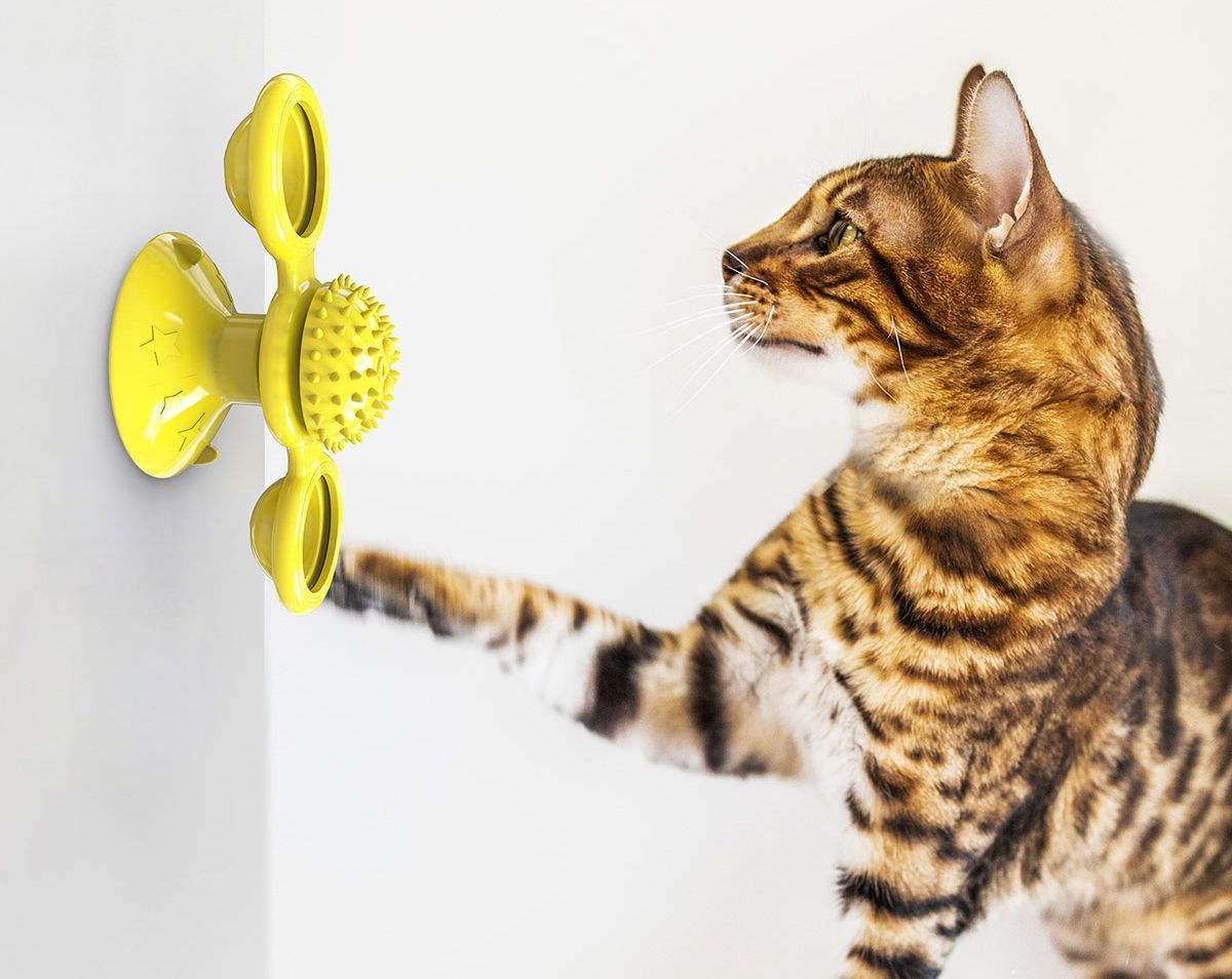 “Windmill” Rotating Suction Cup Spinning Toy for Cats