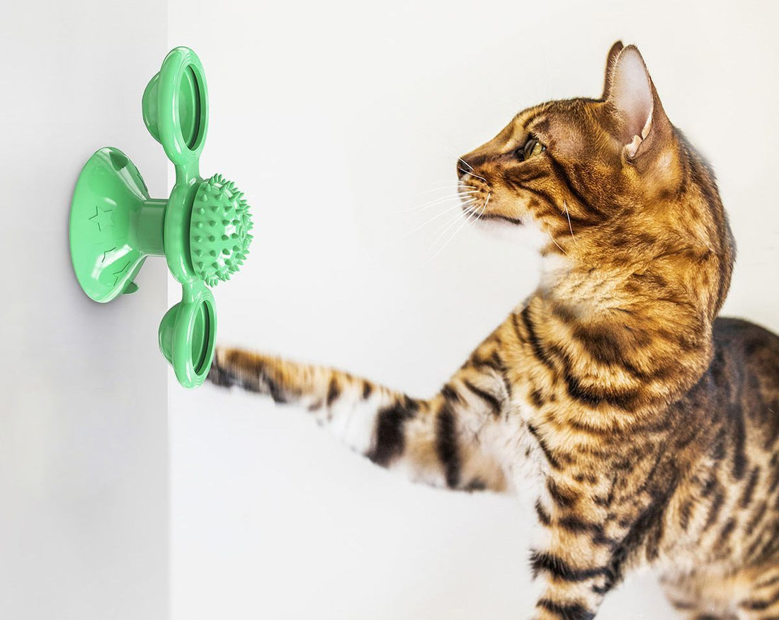 “Windmill” Rotating Suction Cup Spinning Toy for Cats
