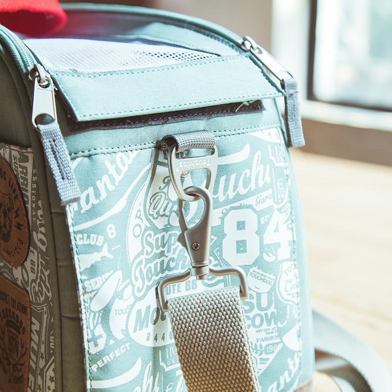 Passport-Approved Airline Pet Carrier